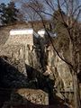Bitchu Matsuyama Castle side.jpg